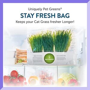 100% Certified Organic Fresh Cat Grass 3-Pack. Natural Cat Treat