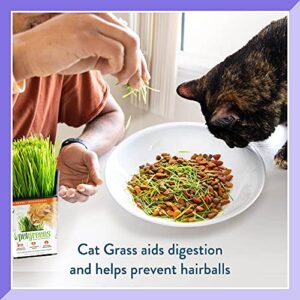 100% Certified Organic Fresh Cat Grass 3-Pack. Natural Cat Treat