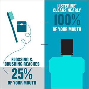 Listerine Ultraclean Oral Care Antiseptic Mouthwash, Everfresh Technology to Help Fight Bad Breath, Gingivitis, Plaque & Tartar, ADA-Accepted Tartar Control Oral Rinse, Arctic Mint, 1 L