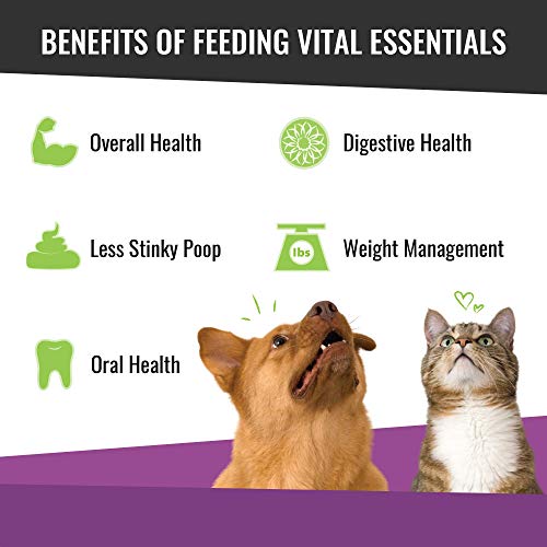 Vital Cat Freeze-Dried All-Natural Minnows Cat Treats, 0.5 oz.