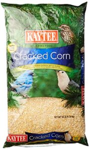 kaytee products tv208954 cracked corn, 10 lb