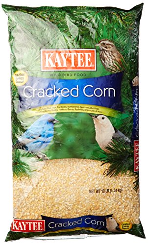 Kaytee Products Tv208954 Cracked Corn, 10 Lb