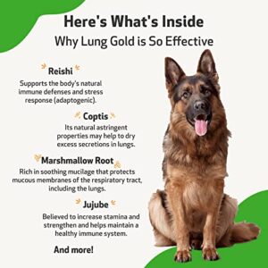 Pet Wellbeing Lung Gold for Dogs - Vet-Formulated - Lung & Respiratory Immune Support, Open Airways, Easy Breathing - Natural Herbal Supplement 2 oz (59 ml)