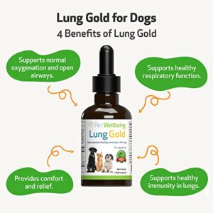 Pet Wellbeing Lung Gold for Dogs - Vet-Formulated - Lung & Respiratory Immune Support, Open Airways, Easy Breathing - Natural Herbal Supplement 2 oz (59 ml)