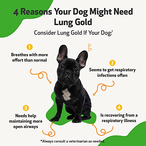 Pet Wellbeing Lung Gold for Dogs - Vet-Formulated - Lung & Respiratory Immune Support, Open Airways, Easy Breathing - Natural Herbal Supplement 2 oz (59 ml)