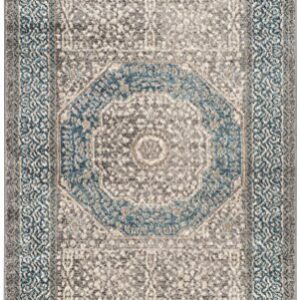 SAFAVIEH Sofia Collection 2'6" x 4' Light Grey/Blue SOF365A Vintage Oriental Distressed Non-Shedding Living Room Bedroom Accent Rug