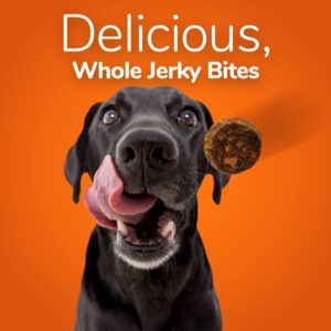 Fruitables Healthy Dog Treats – Whole Jerky Bites for Dogs – Alaskan Salmon & Pear Flavored – 5 Ounces