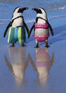 penguins holding hands - avanti funny anniversary card