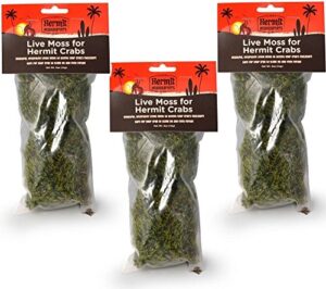fluker's live moss for hermit crabs, 0.5-ounce each (3 pack)
