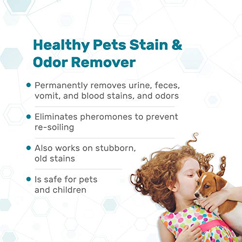 Dr. Mercola, Pet Stain and Odor Remover, 24 FL. oz (1.5 PT) (709 mL), Safe for Pets and Children