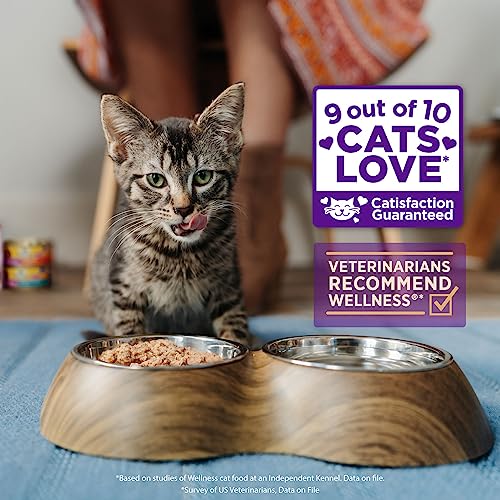 Wellness CORE Hearty Cuts Natural Grain Free Wet Canned Cat Food, Whitefish & Salmon, 5.5-Ounce Can (Pack of 24)
