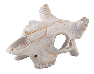 exo terra buffalo skull, small