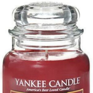 Yankee Candle Summer Storm Large Jar Candle, Fresh Scent