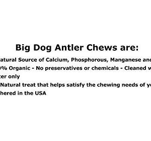 Big Dog Antler Chews - Whitetail Deer Antler Dog Chew, Medium, 8 Inches to 13 Inches Long, Natural, Healthy Long-Lasting Treat. for Medium to Large Size Dogs and Puppies! Happy Dog Guarantee!