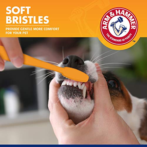 Arm & Hammer for Pets Dental Toothbrush & Cover for Small Dogs | Best Toothbrush with Cover for Small Dog Breeds | Easy to Use and Convenient Dog Toothbrush