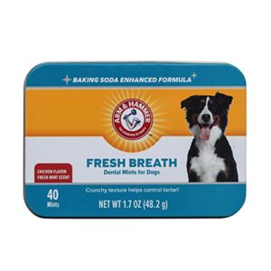 arm & hammer for pets dental mints for dogs, fresh breath | get fresh doggie breath without brushing, way to fresher dog breath | chicken flavor, 40 count