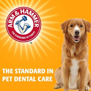 Arm & Hammer for Pets Dental Mints for Dogs, Fresh Breath | Get Fresh Doggie Breath Without Brushing, Way to Fresher Dog Breath | Chicken Flavor, 40 Count