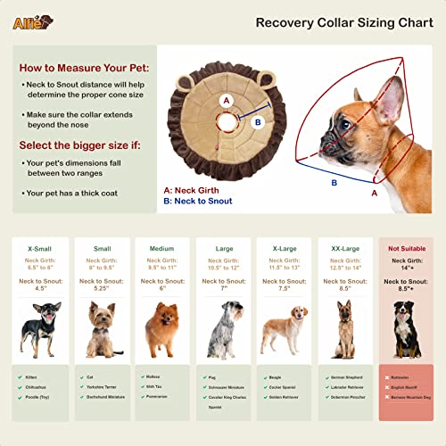 Alfie Pet - Noah Recovery Collar (for Dogs and Cats) - Pattern: Lion, Size: Medium