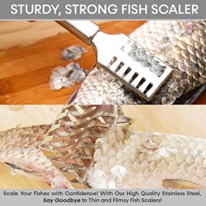 Comfecto Fish Scaler Remover, Stainless Steel Sawtooth Fish Skinner Descaler Tool Cleaner, Ergonomic Handle Scale Scraper Peeler, Easily Brush Scales Cleaning for Chef and Home Cooks