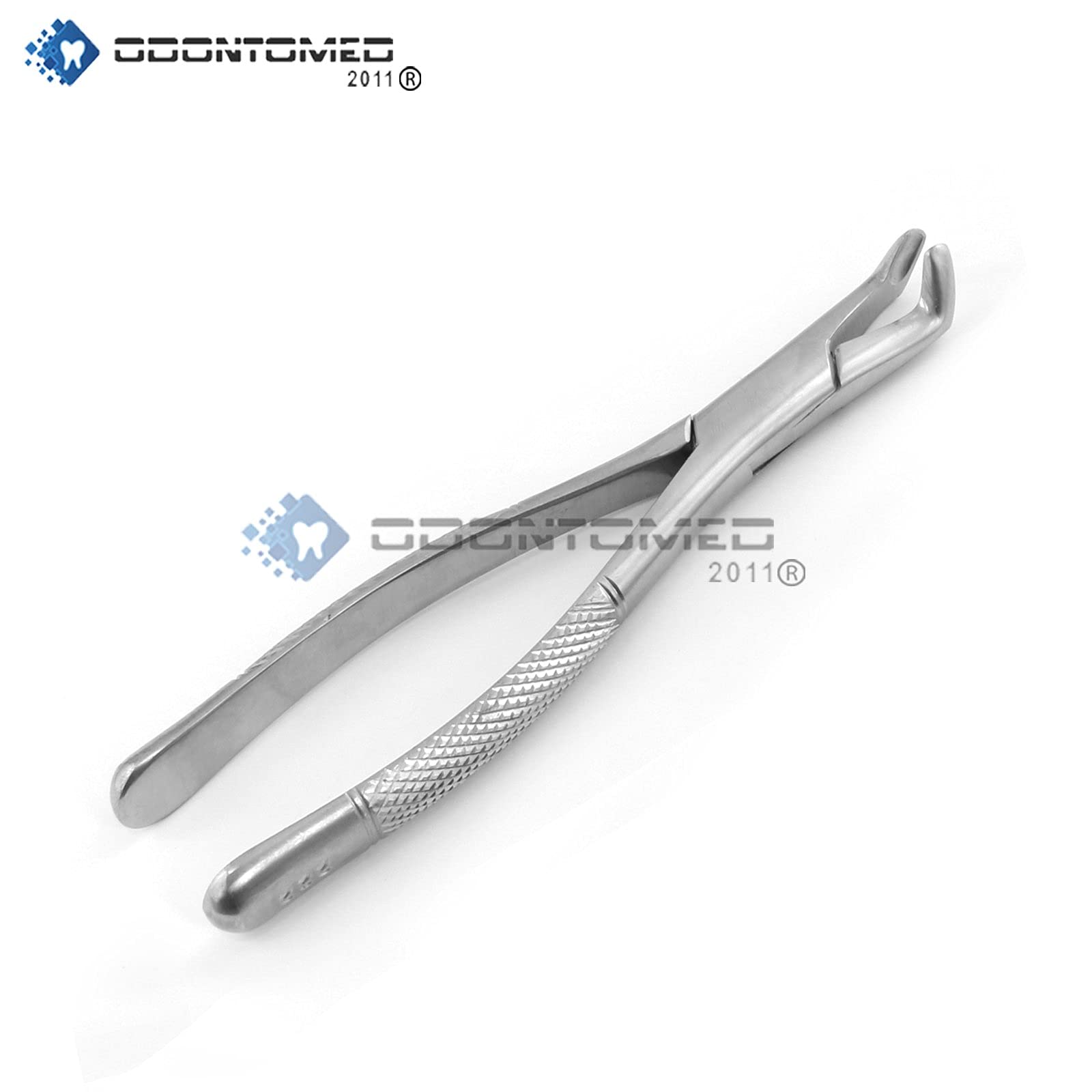 OdontoMed2011 Dental Extracting Forceps #222 Dental Extraction Forceps Stainless Steel