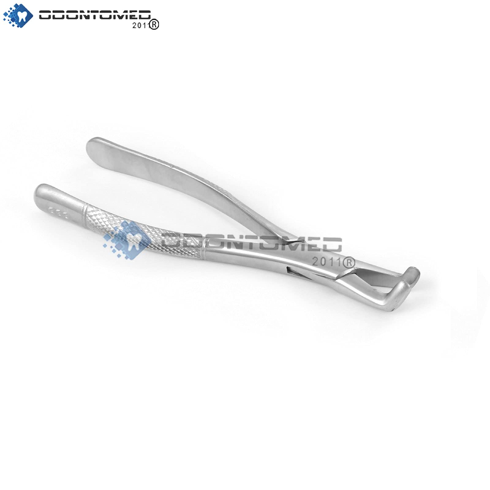 OdontoMed2011 Dental Extracting Forceps #222 Dental Extraction Forceps Stainless Steel