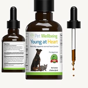 pet wellbeing young at heart for dogs - vet-formulated - supports heart (cardiovascular) health - natural herbal supplement 2 oz (59 ml)