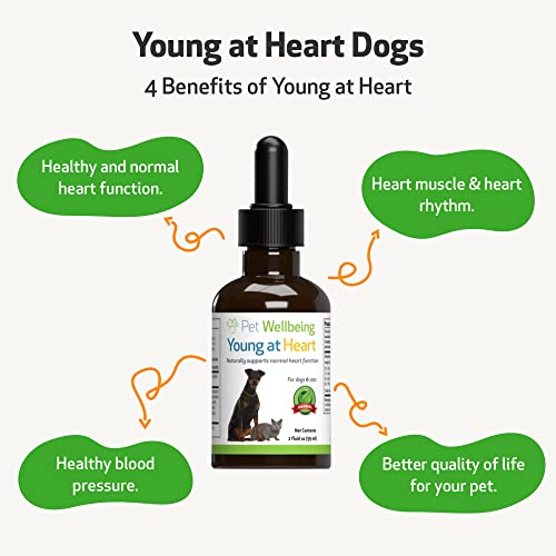 Pet Wellbeing Young at Heart for Dogs - Vet-Formulated - Supports Heart (Cardiovascular) Health - Natural Herbal Supplement 2 oz (59 ml)