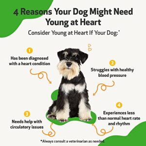 Pet Wellbeing Young at Heart for Dogs - Vet-Formulated - Supports Heart (Cardiovascular) Health - Natural Herbal Supplement 2 oz (59 ml)