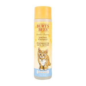 burt's bees for pets kitten natural tearless shampoo with buttermilk, 10 oz - burts bees cat shampoo, kitten shampoo for cats - cat grooming supplies, cat bath supplies, kitty shampoo, pet shampoo