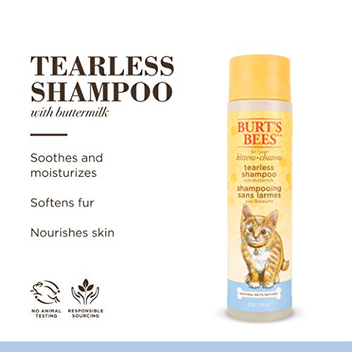 Burt's Bees for Pets Kitten Natural Tearless Shampoo with Buttermilk, 10 Oz - Burts Bees Cat Shampoo, Kitten Shampoo for Cats - Cat Grooming Supplies, Cat Bath Supplies, Kitty Shampoo, Pet Shampoo