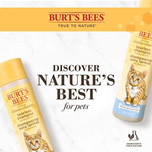 Burt's Bees for Pets Kitten Natural Tearless Shampoo with Buttermilk, 10 Oz - Burts Bees Cat Shampoo, Kitten Shampoo for Cats - Cat Grooming Supplies, Cat Bath Supplies, Kitty Shampoo, Pet Shampoo