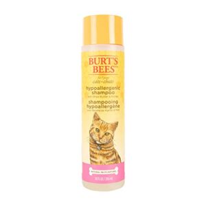 burt's bees for pets cat hypoallergenic cat shampoo with shea butter & honey | best shampoo for cats with dry or sensitive skin | cruelty free, sulfate & paraben free, ph balanced for cats - 10oz