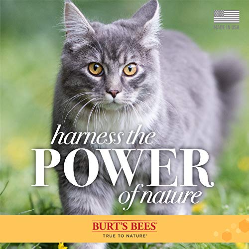 Burt's Bees for Pets Cat Hypoallergenic Cat Shampoo with Shea Butter & Honey | Best Shampoo for Cats with Dry or Sensitive Skin | Cruelty Free, Sulfate & Paraben Free, pH Balanced for Cats - 10oz