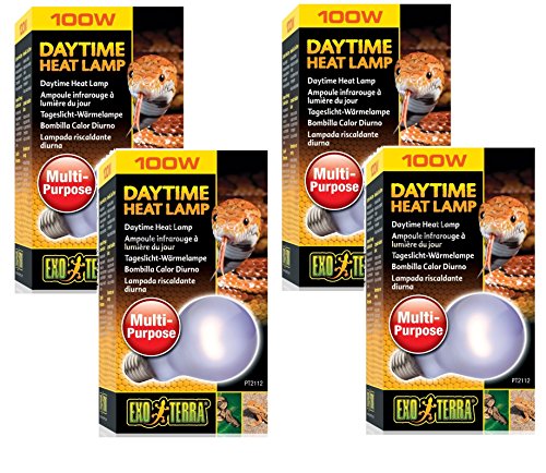 (4 Pack) Exo Terra Sun-Glo Neodymium A21 Lamp, 100 Watt