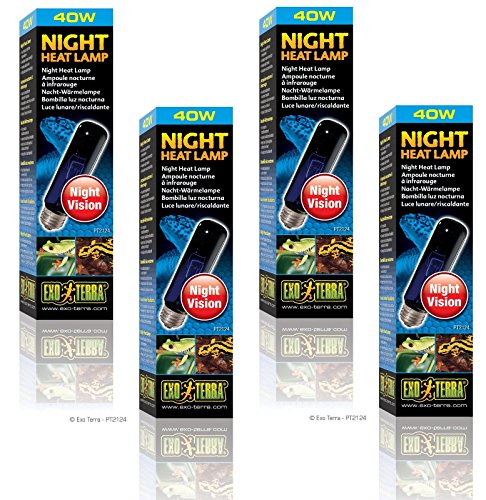 (4 Pack) Exo Terra Night-Glo Moonlight Lamp, 40 Watt