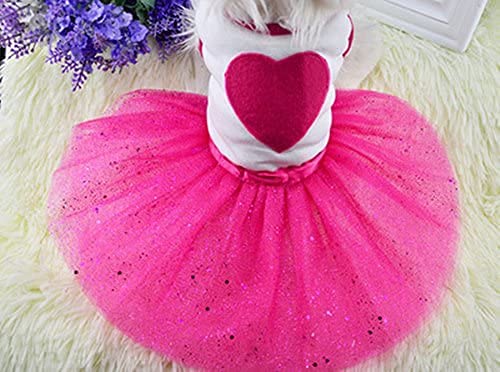 Idepet Spring Summer Pet Dog Cat Puppy Tutu Princess Dress Heart Printed Lace Dog Skirt Pet Apparel Dog Dress(XXL)