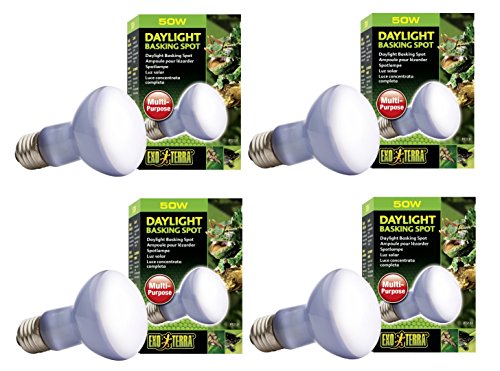 Exo Terra Sun-Glo Basking Spot Lamp, 50-Watt/120-Volt (4 Pack)