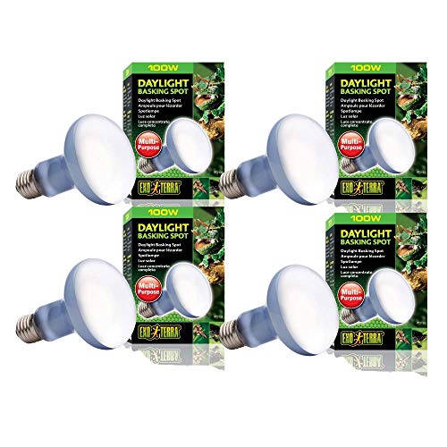 Exo Terra Sun-Glo Basking Spot Lamp, 100-Watt/120-Volt (4 Pack)