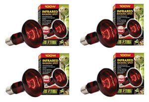 exo terra heat-glo infrared spot lamp, 100-watt/120-volt (4 pack)