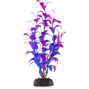 imagitarium purple & blue foreground aquarium plant