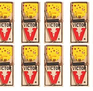 Victor EZ set mouse trap (Pack of 12)