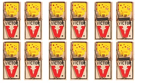 Victor EZ set mouse trap (Pack of 12)