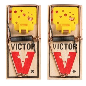 Victor EZ set mouse trap (Pack of 12)
