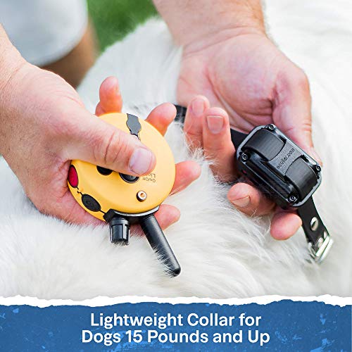 E-Collar - ET-300-1/2 Mile Remote Waterproof Trainer Mini Educator Remote Training Collar - 100 Training Levels Plus Vibration and Sound - Includes PetsTEK Dog Training Clicker