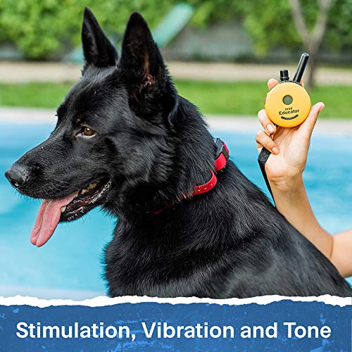 E-Collar - ET-300-1/2 Mile Remote Waterproof Trainer Mini Educator Remote Training Collar - 100 Training Levels Plus Vibration and Sound - Includes PetsTEK Dog Training Clicker