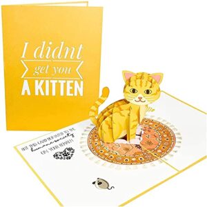 poplife funny kitten pop up card ($1 donation to the humane society) - cat lover card for all occasions, mother's day, father's day, veterinarian gift - happy birthday, just because, get well