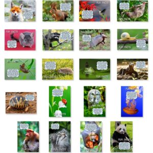 ANIMALS FUN FACTS postcard set of 20 postcards. Animal and bird post cards variety pack. Made in USA.