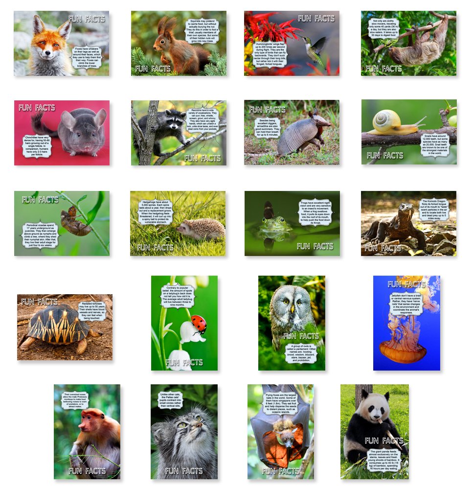 ANIMALS FUN FACTS postcard set of 20 postcards. Animal and bird post cards variety pack. Made in USA.