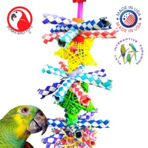 Bonka Bird Toys 1586 Duo Foraging Star Vine Colorful Preening Shredding Chew Parrot Parrotlet, Quaker, Cockatiel, Cockatoo, African Grey, and Similar pet Birds