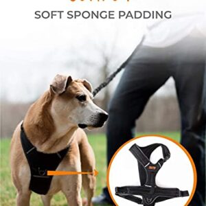 Mighty Paw Sport Harness, No-Pull Front Attachment Dog Harness, Neoprene Padded Lining, Reflective Stitching, 2 Leash Attachment Options (Medium, Black)